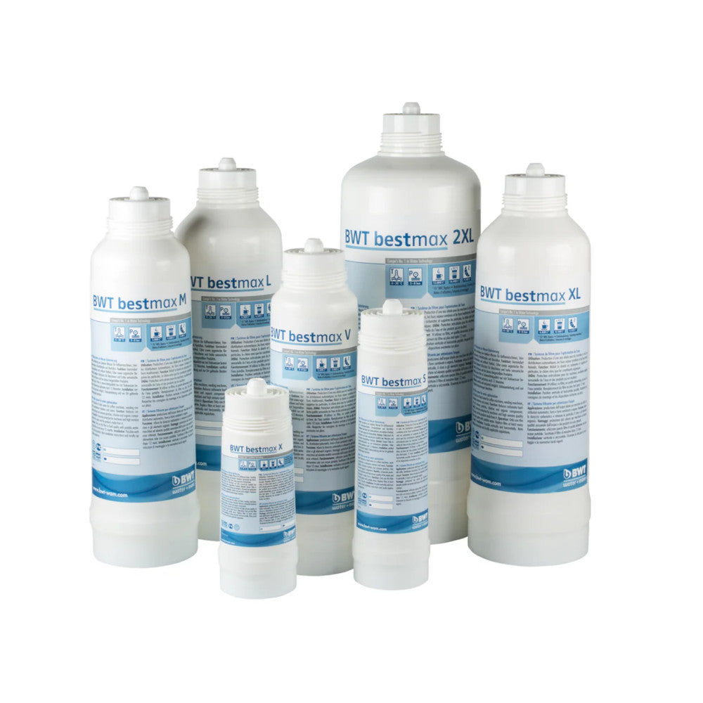 BWT Bestmax L Wasserfilter, bis zu 6240 L